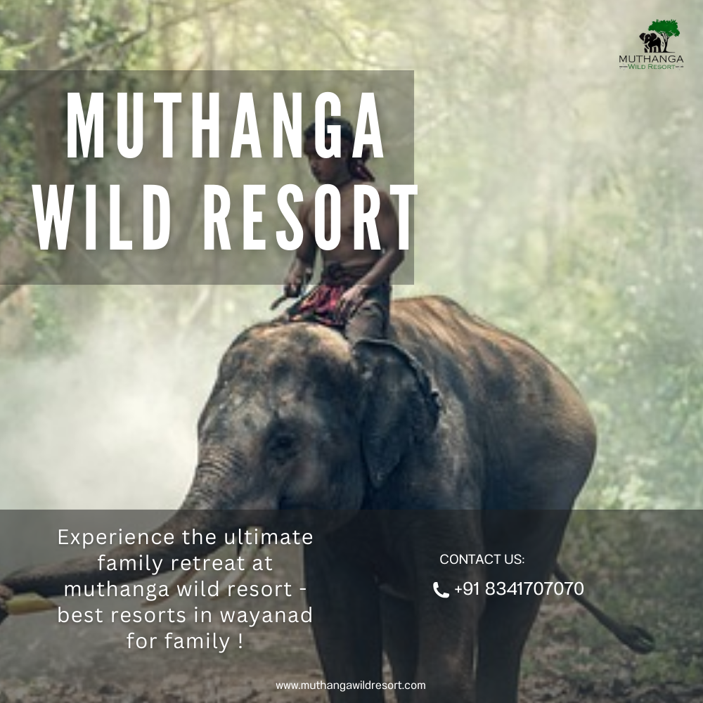 Family enjoying outdoor activities at 
Muthanga Wild Resort